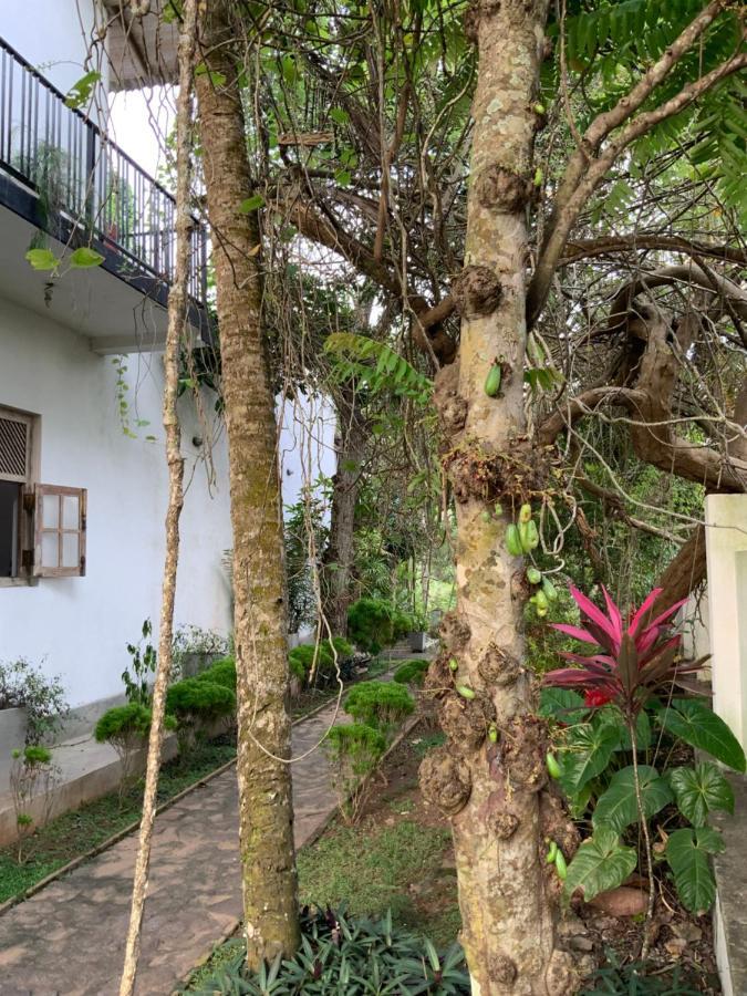 Lali Villa & Fruit Garden Galle Exterior foto